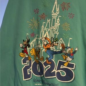 Disney Teal Green Shirt with Characters 2025